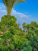 The Mediterranean Sea at your doorstep!! - B&B Meneou