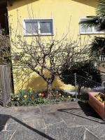 B&B Cugnasco - Il Nido - Bed and Breakfast Cugnasco