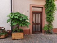 Alte Bahnhofstraße 12 - Bed and Breakfast Karlstadt am Main