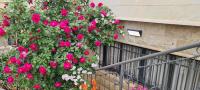 סוויטת נור Noor Suite - B&B