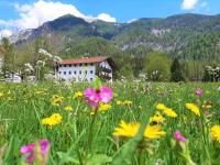 Pulvererhof - Ferienwohnung