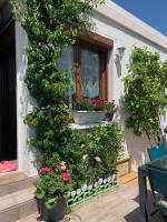 Cœur de sousto - B&B Six-Fours-les-Plages