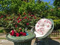 KosMaj Dan Belgrade, Sopot - B&B Belgrade