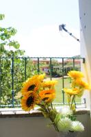 Appartamenti MareBlu 450m dal mare - Bed and Breakfast La Caletta