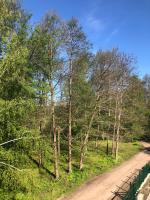 Apartament Rybical - POKOJE - B&B
