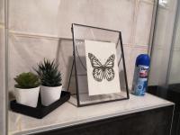 Estudio Doble Deluxe