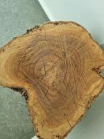 LUXURY APARTMENTS NATURA - Chambres d’hôtes Malcesine