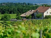 Grande maison de campagne avec piscine privée et animaux admis - FR-1-616-128 - Chambres d'hôtes Saussignac