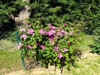 Charmant gîte cozy près du Mans avec jardin, terrasse, proche commodités et activités. - FR-1-410-336 - B&B Rouillon