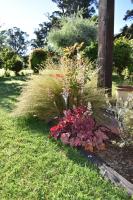 The River Lodge - Bed and Breakfast