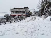 B&B Darjeeling - RHODODENDRON stay - Bed and Breakfast Darjeeling