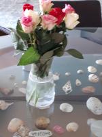 Sea Sun & Me Apartment - Ferienwohnung Koper