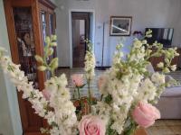 Casa Gabri - B&B Toscolano Maderno