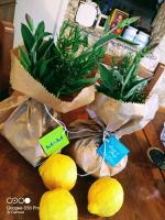 Habitación Triple con baño privado