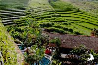 Matra Bali Surf Camp - B&B Canggu