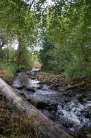 Deerbrook House B&B - B&B Cahir