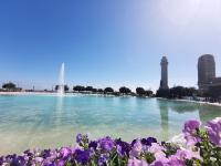 Home2Book Elegance City Center Apartment - B&B