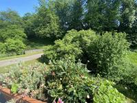 Ferienwohnung im Brohlbachtal - B&B Kaifenheim