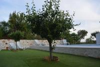 Casa da Pedra - B&B Ansião