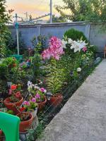 Vila Lili - B&B Eforie Nord