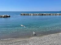 Mamidoli apartment, exclusive area in Chiavari - B&B