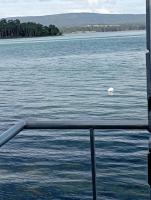 Vivienda con jardin y acceso a pequeña playa - B&B O Grove