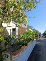 Apartments Branka- 4 apartments in house- 1 apartment has jacuzzi - B&B Vir