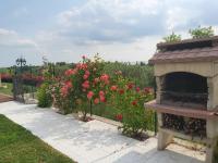 Family Room with Terrace