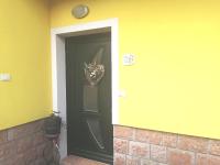 RESIDENZE DOLOMITICHE la casa gialla - B&B Cleulis