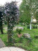 Tweepersoonskamer met Eigen Badkamer