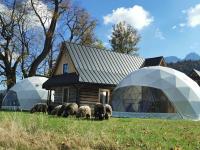 Glamp Siedlisko Kościelisko - Ferienwohnung
