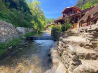 Pensiunea Mioritica - B&B Sibiel