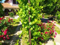 Dečiji vinogradi Belgrade, Sopot, Kosmaj - Chambres d'hôtes Sopot