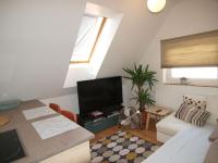 Studio with Garden View