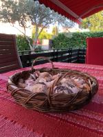 Holiday Home Andreja - Bed and Breakfast