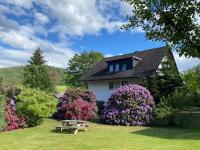 Auf der Platte - B&B Winterberg