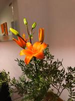 Denia Deluxe Chillout Experience - Bed and Breakfast Denia