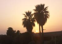 L'oasi di Angela, CIN IT11163C2000Q5074 - B&B San Giovanni Suergiu