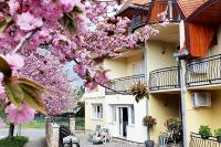 Anett Villa - B&B Hévíz