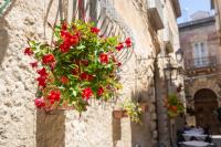 Eirene Exclusive Apartment - B&B Tropea
