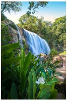 Chalés Pedacim du Céu - B&B Bueno Brandão