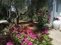 Alexander apartments 4 - B&B Spartiá