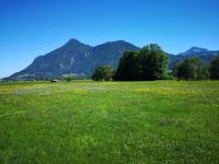Ferienwohnungen beim Silbergersee - Bed and Breakfast