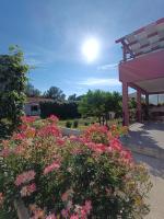 B&B Biograd na Moru - Apartman Brigita - Bed and Breakfast Biograd na Moru