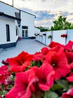 White House - B&B