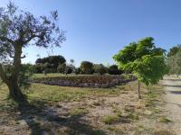 Agriturismo Il Miticello - B&B Tricase