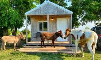 Tiny Cabin at the DonkeyRanch - B&B