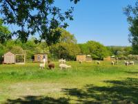 Double Decker Bus on an Alpaca Farm sleeps 8 - Ferienwohnung Newton Abbot
