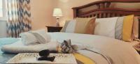 'Kealan' Luxury Double Room - Chambres d’hôtes