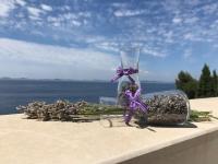 Apartmani Silvano - Ferienwohnung Murter